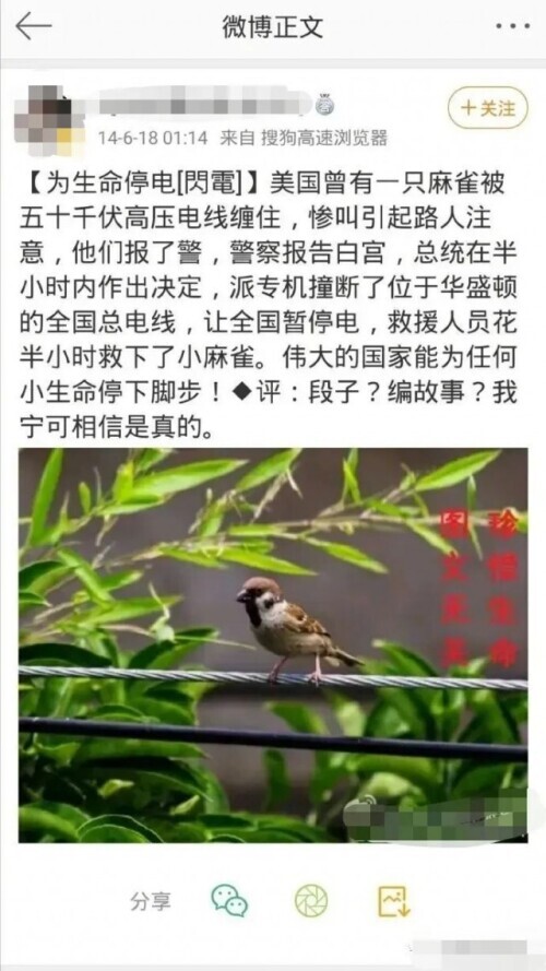 啪啪打脸!经典公知爽文共赏,这些国家自己都不敢这么吹