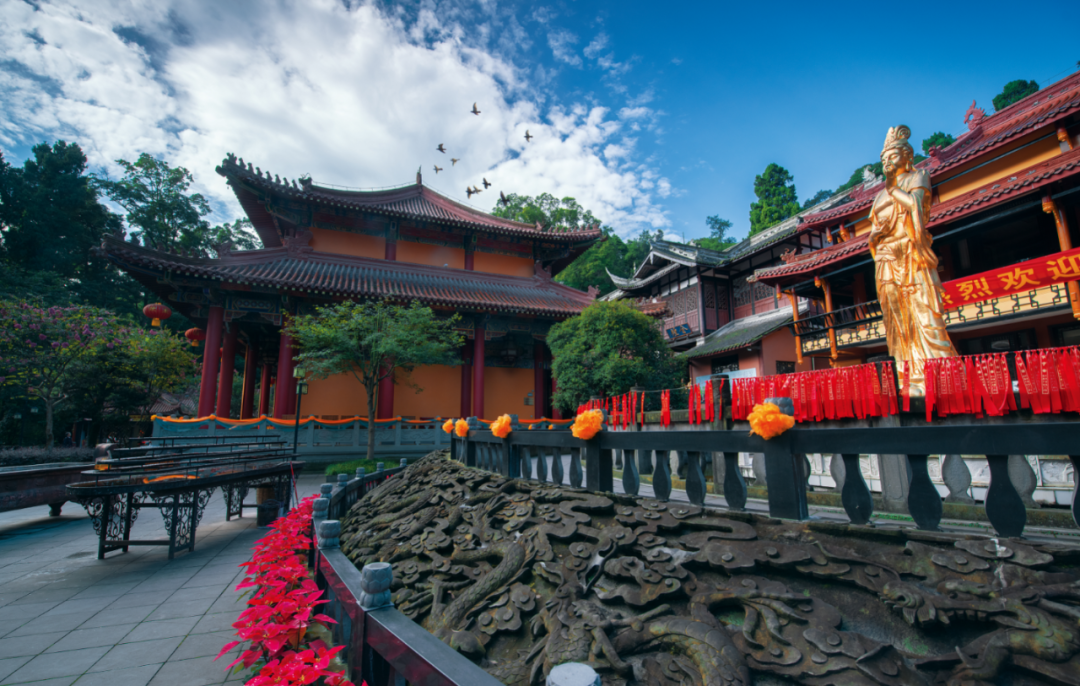 普照寺地處於茂密森林的青峰山普照寺來這裡可參與基地公眾教育活動