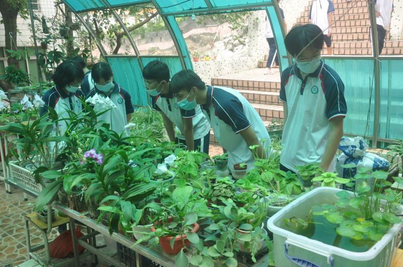 南沙區(qū)大崗中學(xué)的全國(guó)科普日活動(dòng)好玩(圖4) 南沙區(qū)大崗中學(xué)的全國(guó)科普日活動(dòng)好玩(圖4)