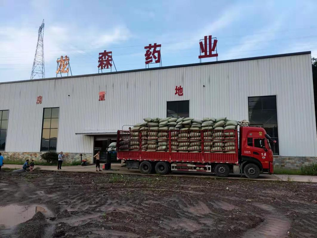 达州：把好中医药产业的“脉”，开好乡村振兴的“方”