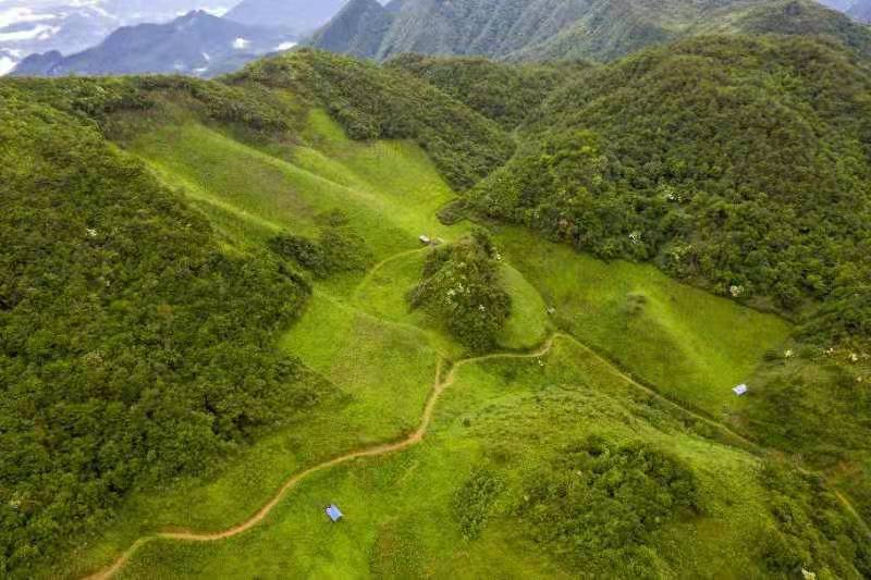 达州：把好中医药产业的“脉”，开好乡村振兴的“方”