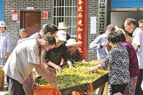 达州：把好中医药产业的“脉”，开好乡村振兴的“方”