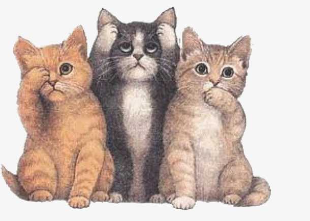 三只猫的故事