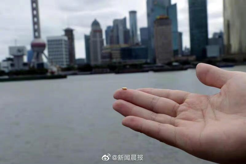 对话丨将“1000颗黄斤‘米粒’扔进黄浦江”，艺术家：争议声代表着有价值