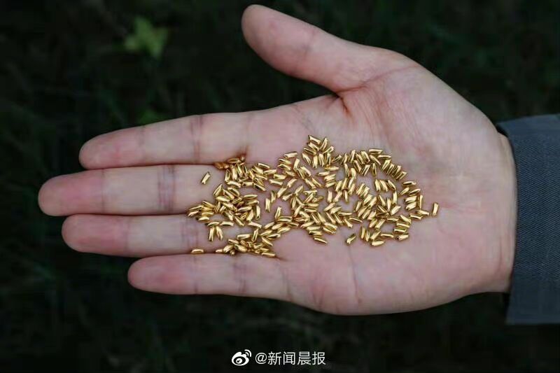 对话丨将“1000颗黄斤‘米粒’扔进黄浦江”，艺术家：争议声代表着有价值