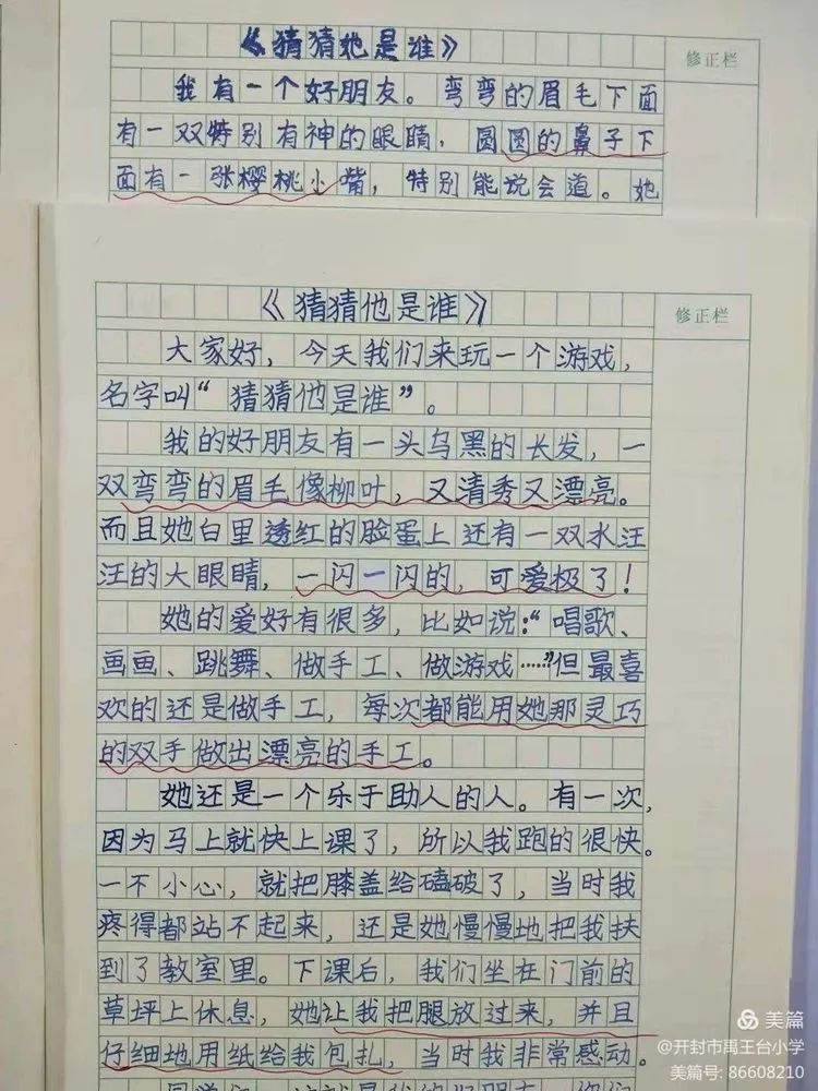 落实“双减”提质增效——禹王台小学作业教案检查纪实