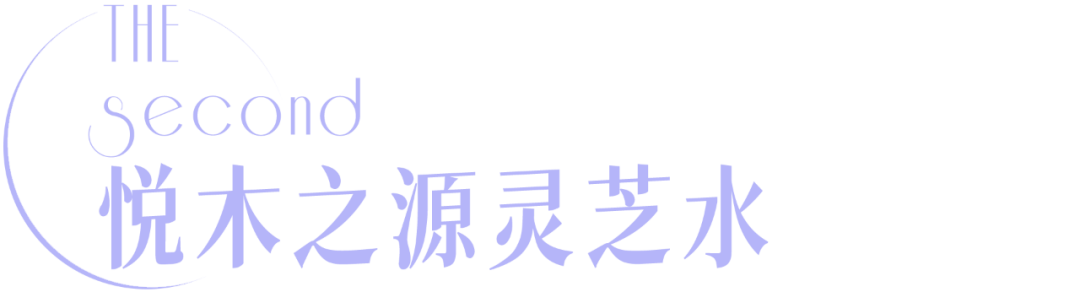 双11最划算的购物攻略，都帮你整理好了