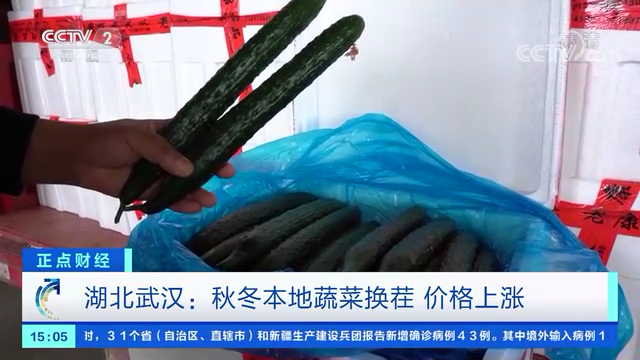 蔬菜价格涨！有地方一周翻了一倍