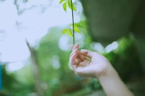 得與失看淡,就讓一切順其自然! (精闢)