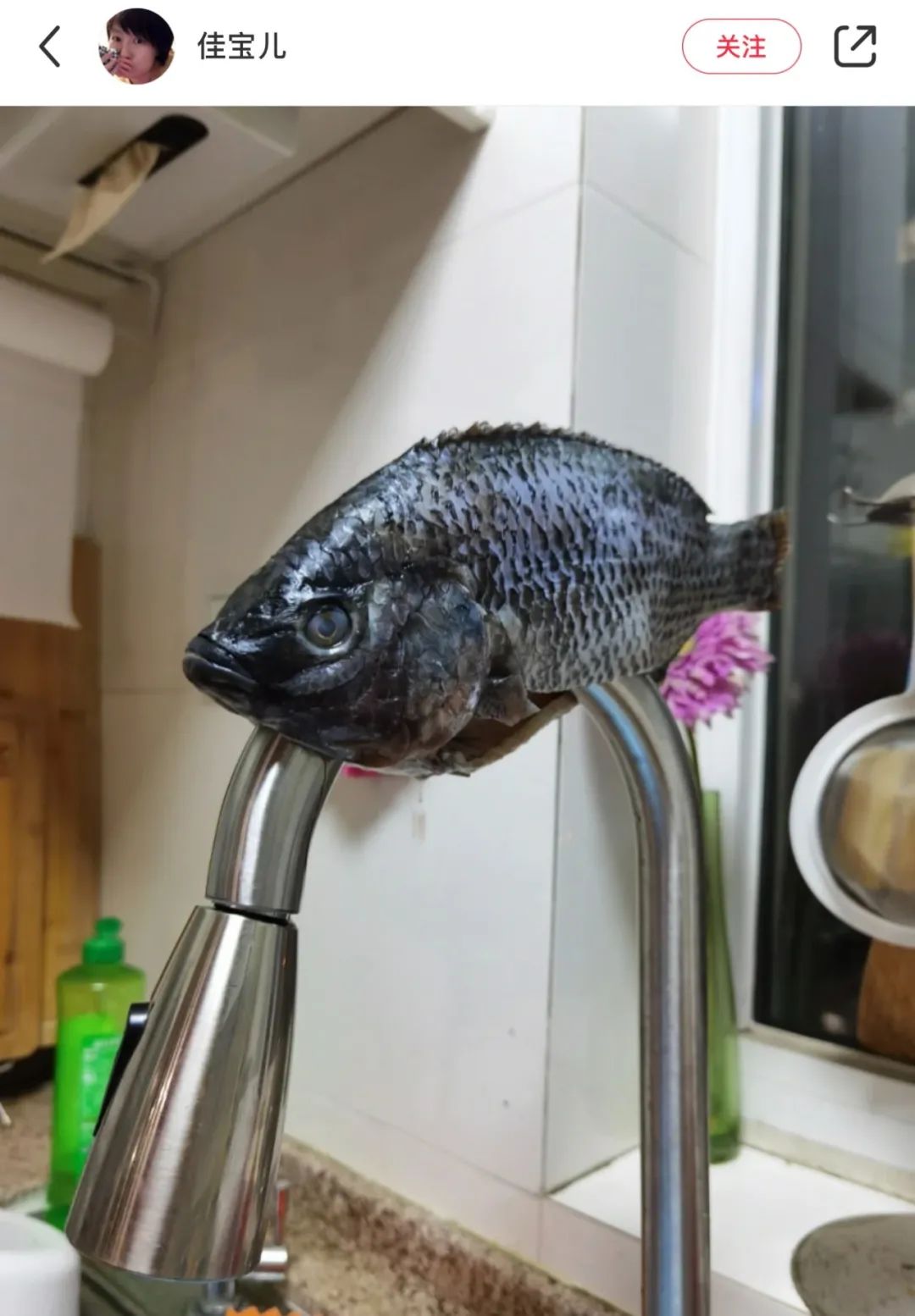 男人做家务的方式差点把我送走