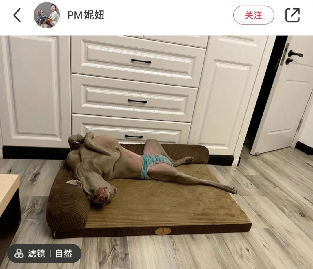 男人做家务的方式差点把我送走