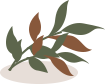 【科宝有话说（十八）】唤起儿时记忆：菊科里的野花
