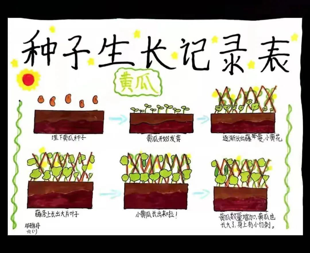 天河区高塘石小学的劳动教育课不一般(图3)