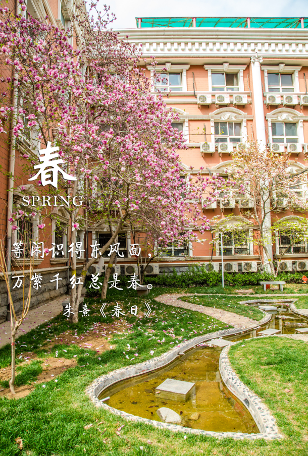 石家莊一中吧分享石家莊一中怎么樣(圖15)