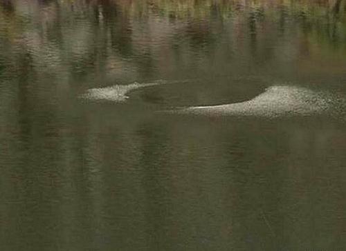 四川九龙猎塔湖水怪未解的谜团：水下三米长庞大怪兽真的存在吗？？