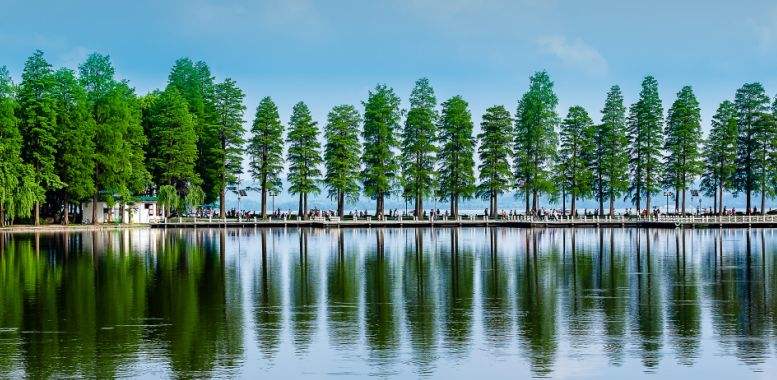 武汉旅游攻略冬季景点必去(武汉周边旅游攻略景点必去)