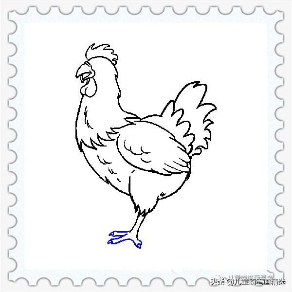 儿童简笔画精选【家禽家畜】-肉鸡（Chicken）的绘画教程