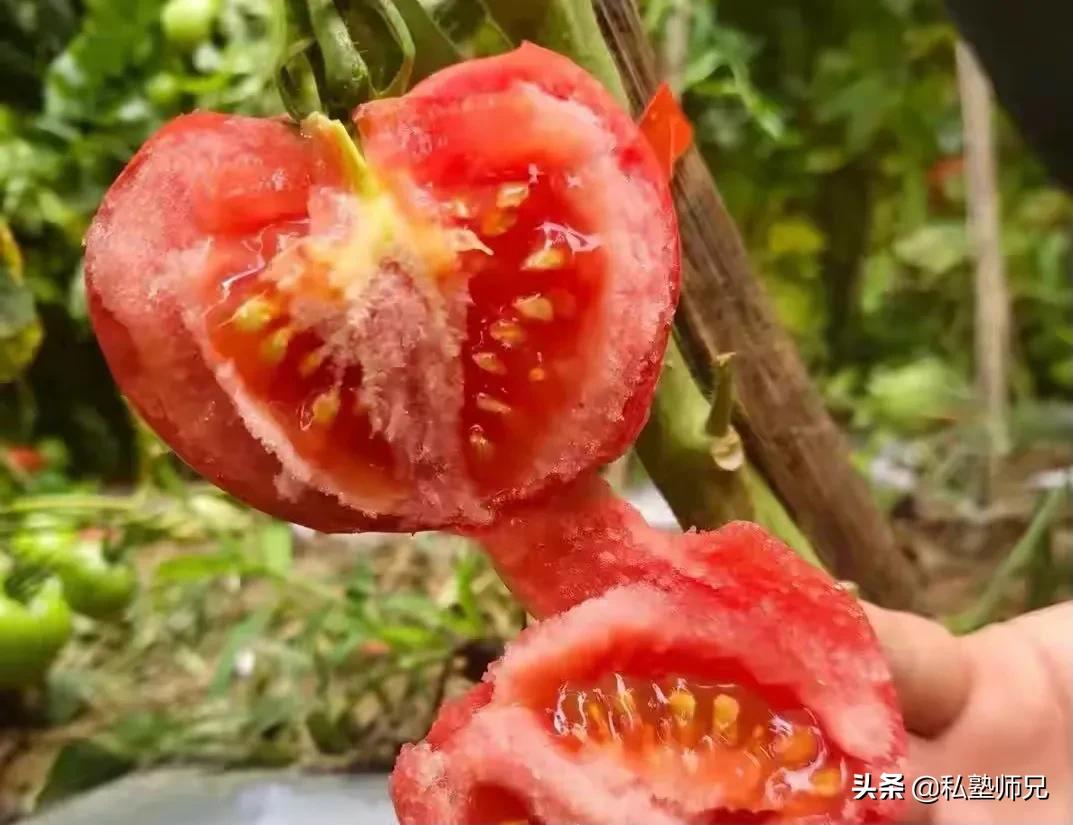 你是明白了哪幾個基本原理之后廚藝大增的？