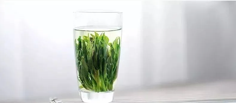 细说绿茶中的最魁梧的茶，太平猴魁