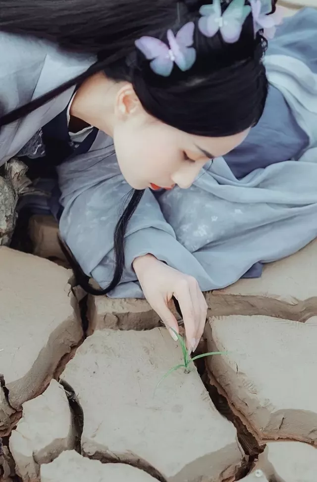 一日一诗词 ‖《朝中措·长年心事寄林扃》