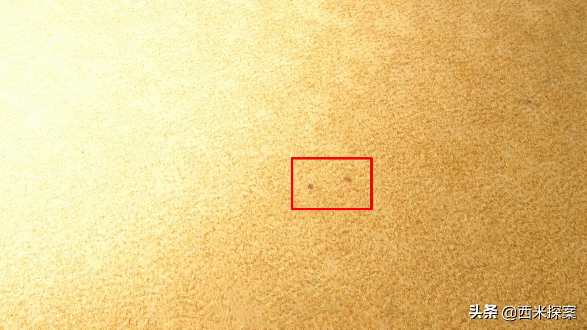 国外大案纪实：15岁少女在家奇妙失踪，警方抽丝剥茧查出原因