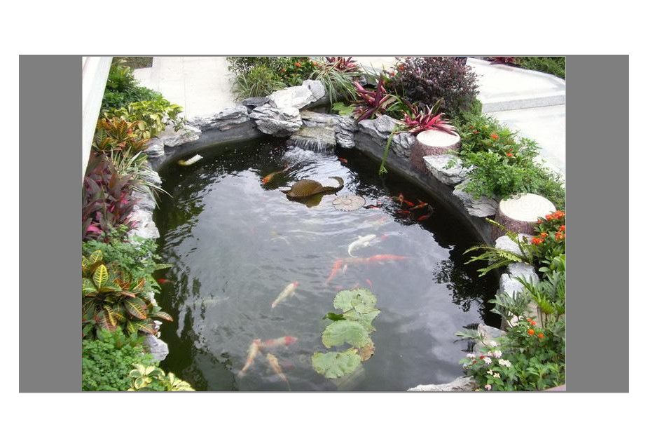 花园只有造个锦鲤鱼池，才能堪称最美庭院