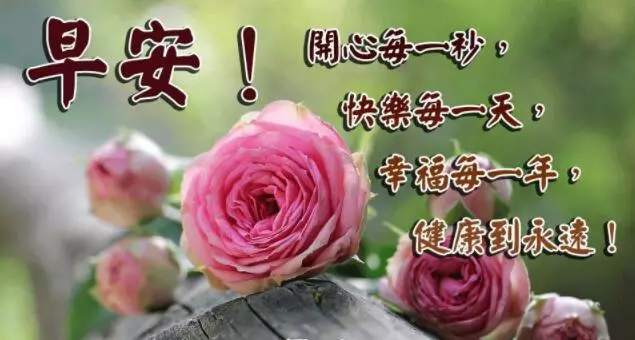 鸟语花香唯美句子（清晨鸟语花香唯美句子） 第5张