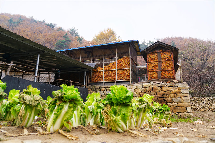 山海远阔，人间烟火，泡汤和美食，才是营口旅行的正确打开方式