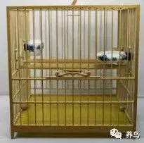 养鸟的种类与笼具的选取