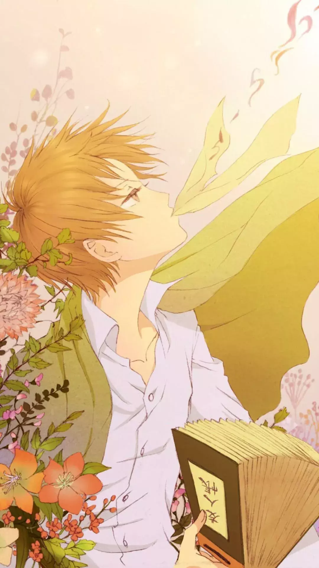 夏目动漫壁纸动漫壁纸男生高清夏目友人帐