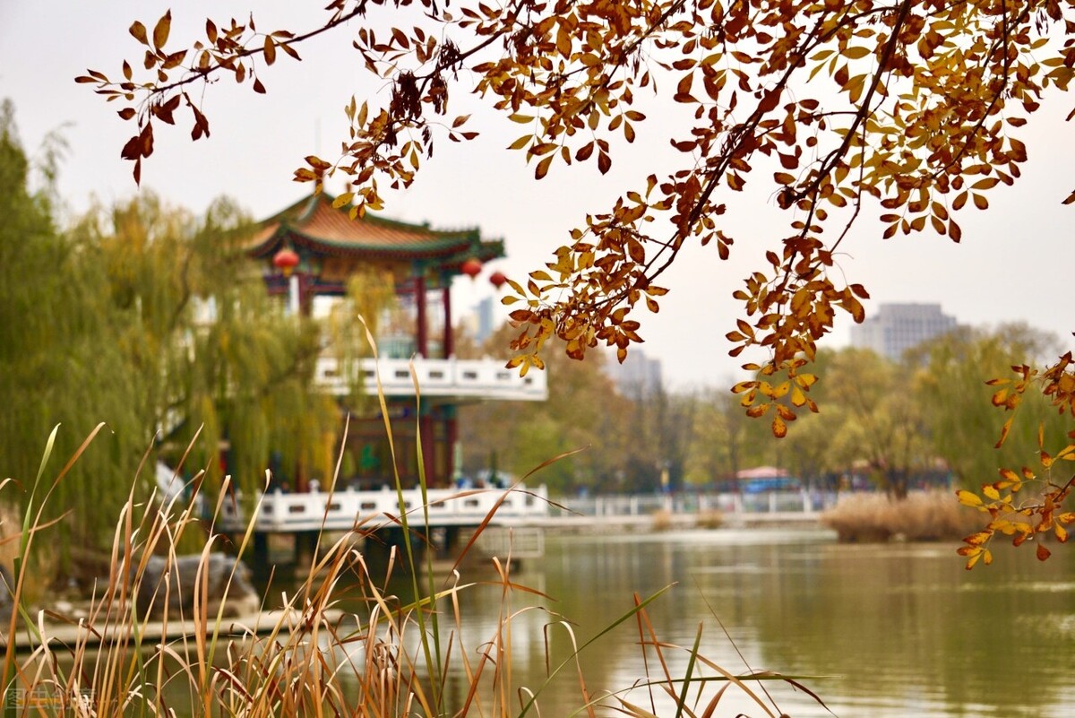 推荐中国十大最美城市公园，哪个在你心中是最美？插图24