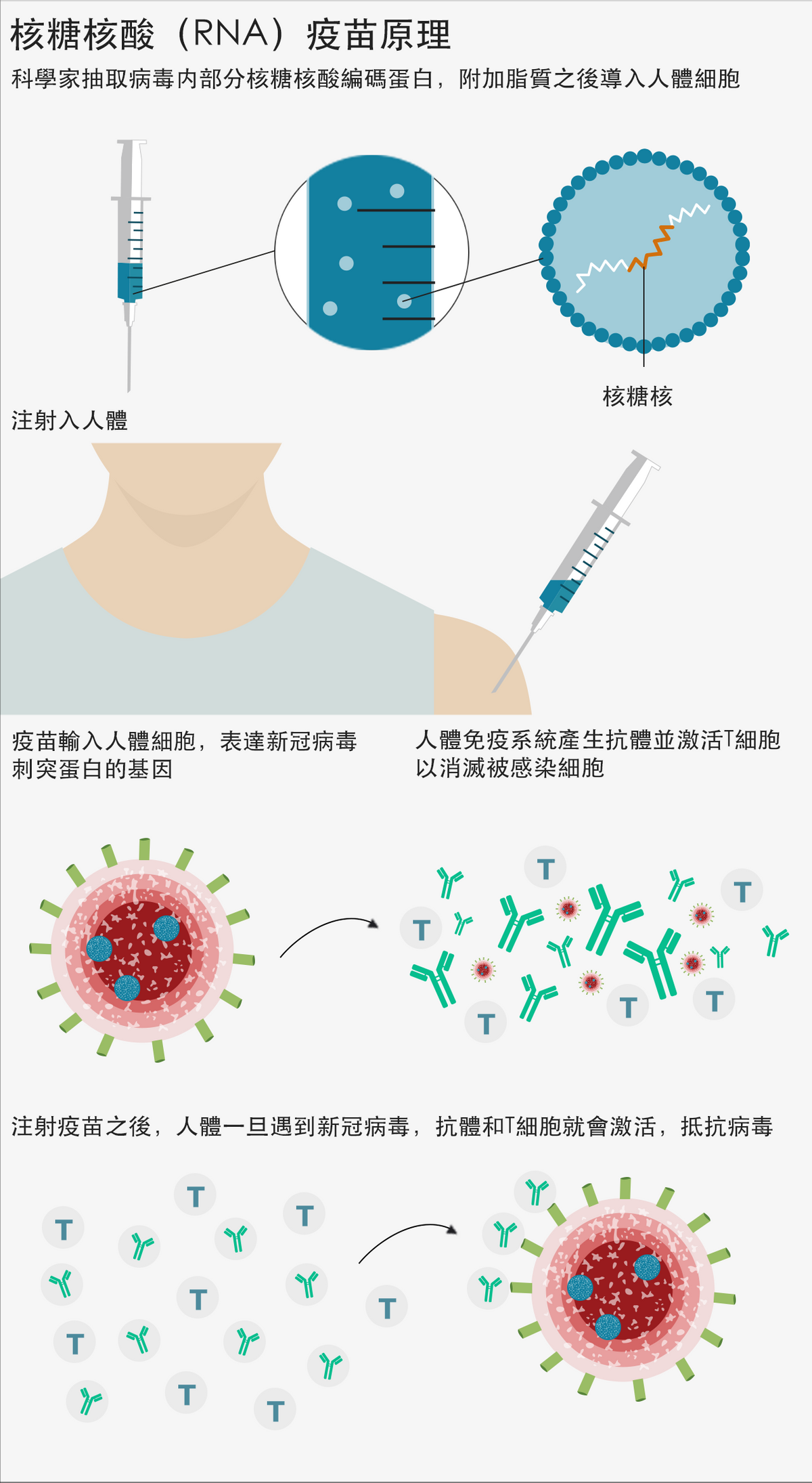 “德尔塔”未平，“拉姆达”又起？新冠变异毒株已达近邻日本