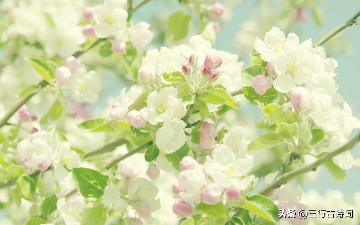 青春年华终将褪，本是岁月最无情