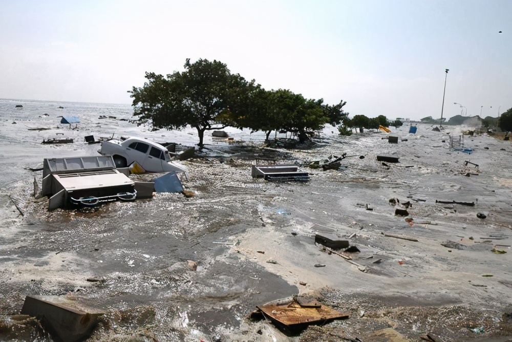 地球氧气含量翻一倍，就能上演现实版阿凡达？科学家表示太天真