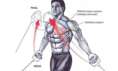 5個胸肌訓練小技巧，讓你感受到泵感，擁有寬厚壯實的胸肌