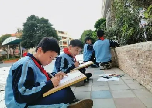 点赞！丰泽这所学校深耕细作，让中医药文化在校园中扎根绽放
