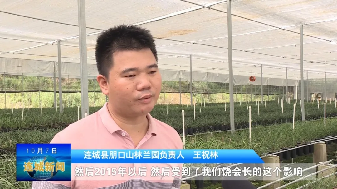 「最美勞動者」饒華芳：傾情蘭花事業 助推鄉村振興