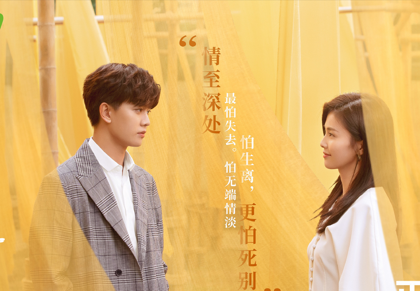 2021电视剧评分2021电视剧评分排行榜