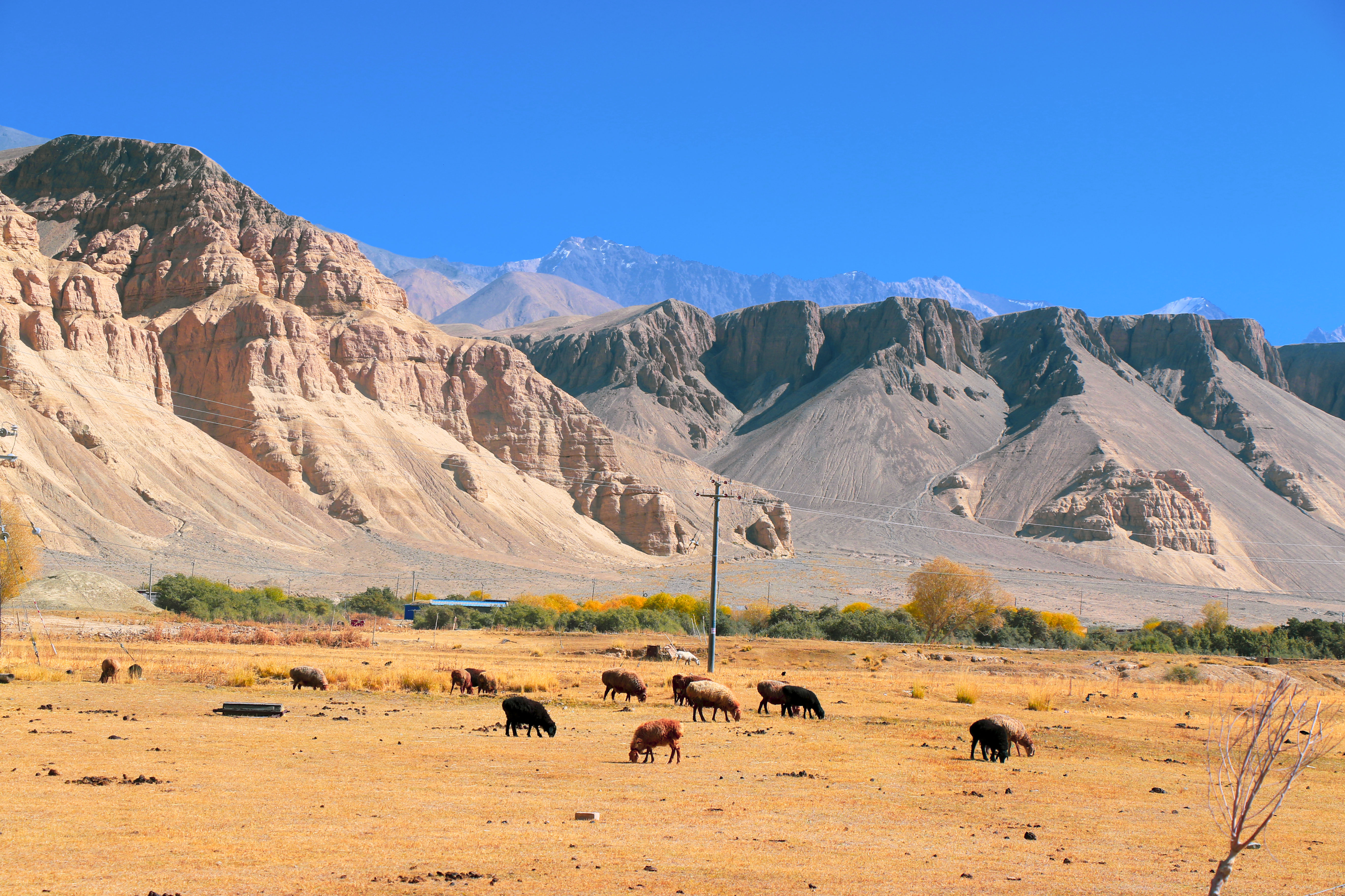 帕米尔高原秋季风景大赏|淳朴坎尔洋