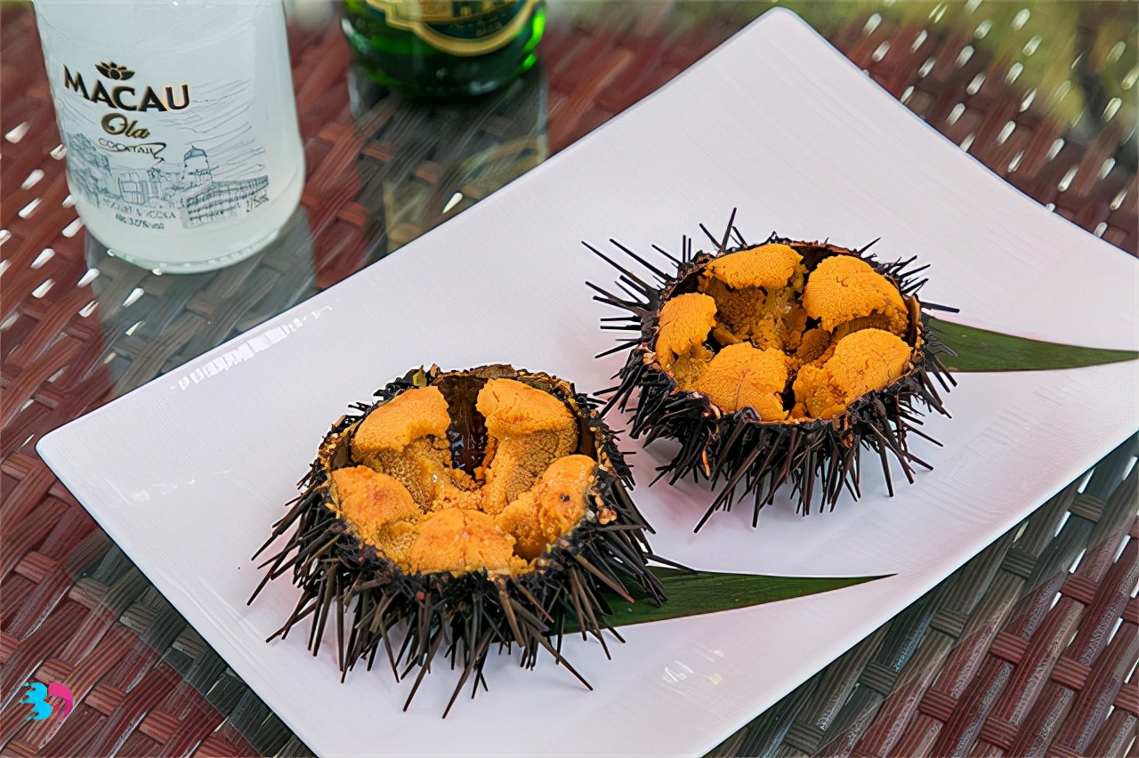 海胆的美味吃法：揭秘受欢迎的食用方式