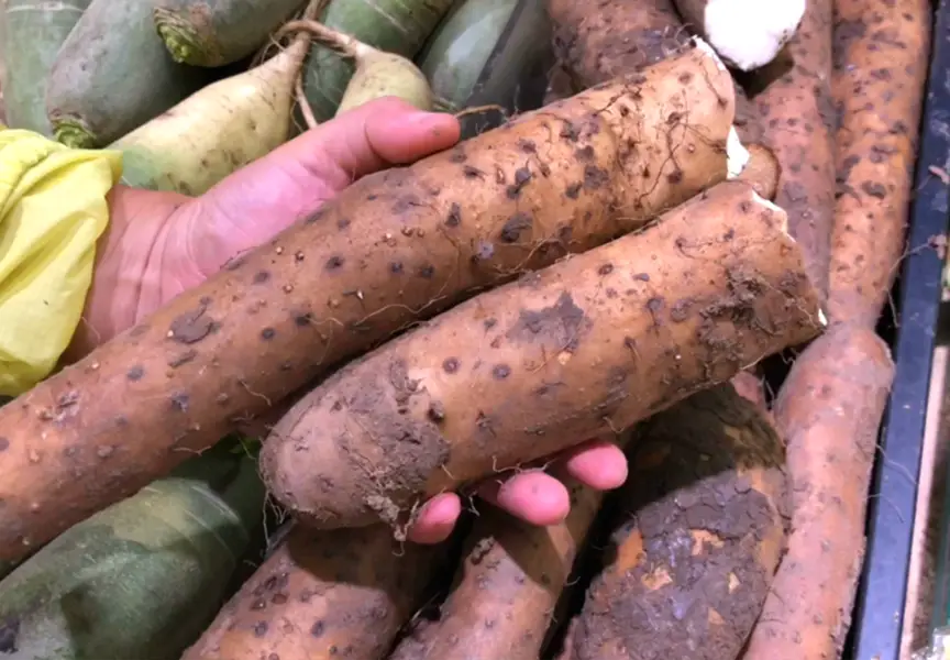 入伏吃什么菜好（适合入伏吃的5种菜）