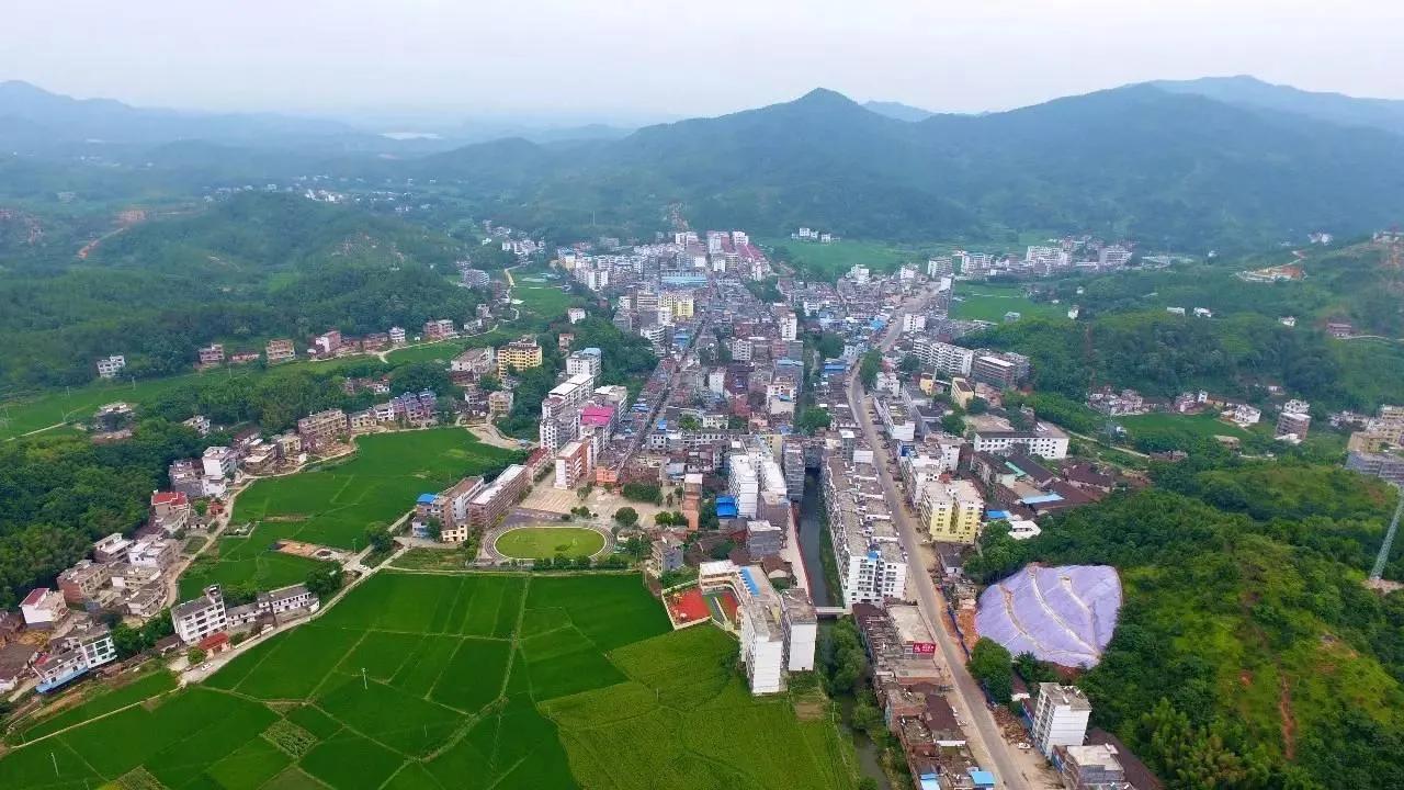 岁岁重阳 今又重阳 一一沙地之行回望逝去的青春岁月
