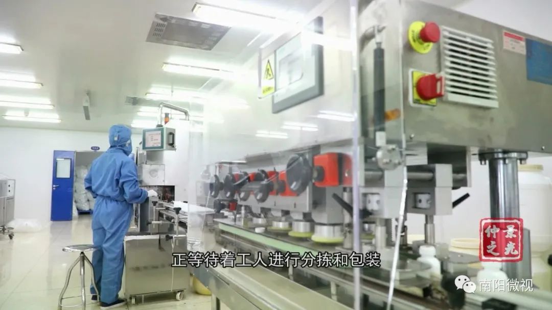 喜迎：中国·南阳第十五届张仲景医药文化节暨第九届仲景论坛开幕式及主题报告会