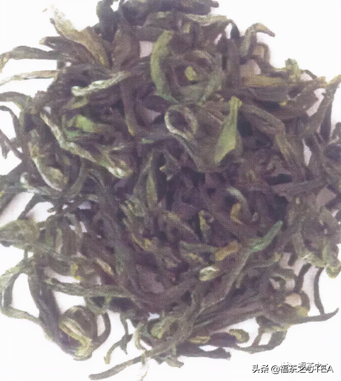 茶百科 | 中國茶葉分類大綱（收藏版）