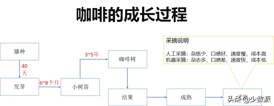 国产咖啡哪里的最好（国产好喝的咖啡品牌推荐）