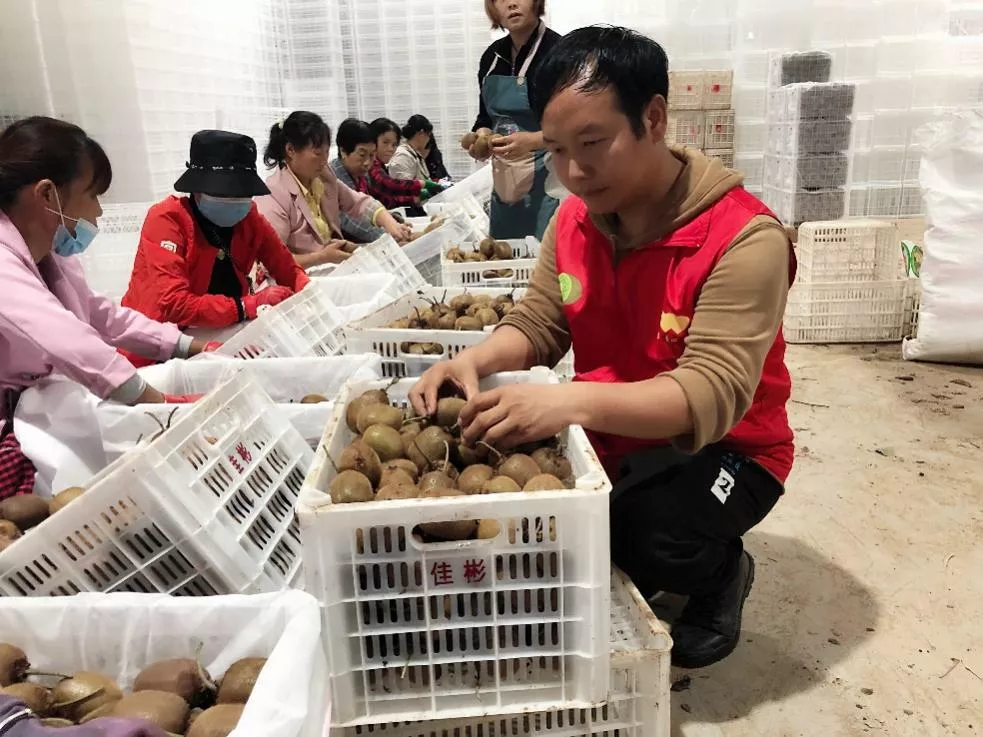 「资讯」周至农广职农 助力产业振兴
