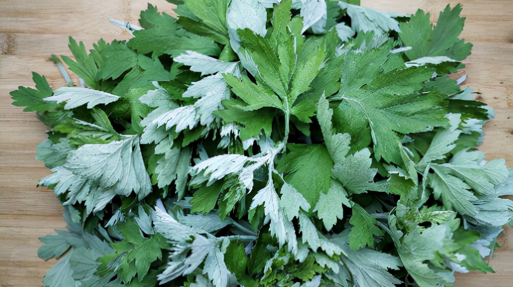 艾叶不仅能够用来泡脚，还可以用来洗头？另有3大好处，你知道吗