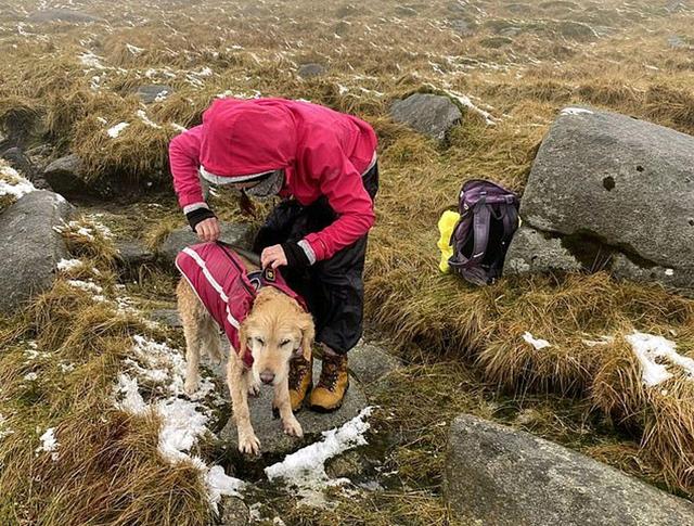 情侣雪山偶遇金毛犬，狗狗被扛在肩上，他们徒步10公里下山