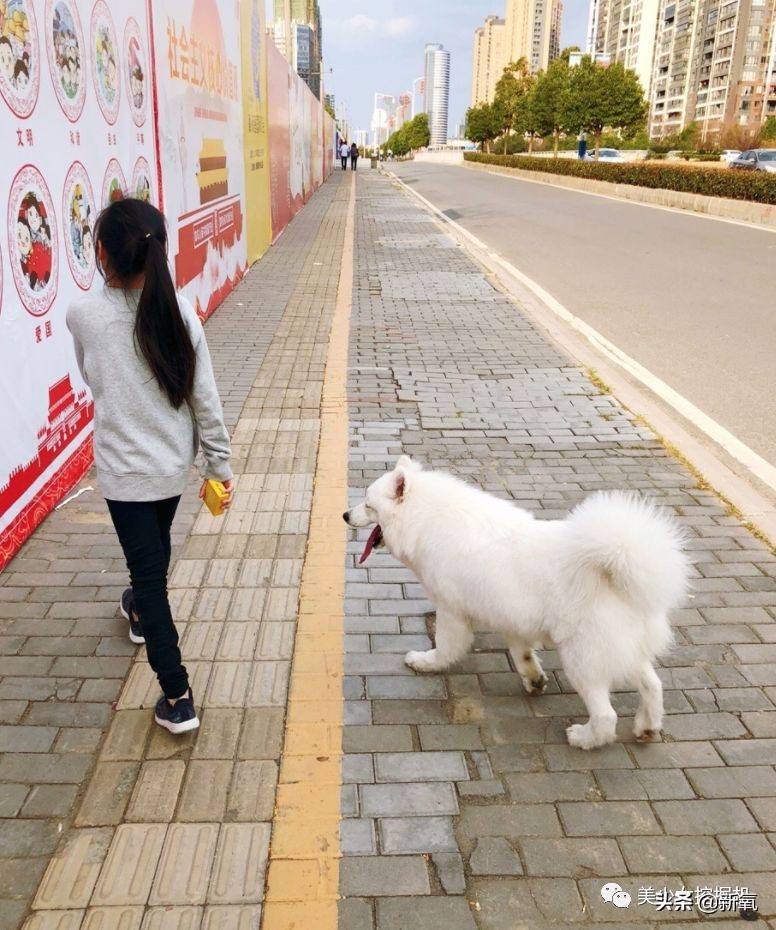 被王思聪关注的腿精才是名副其实的漫画腿，配上无死角脸更绝了