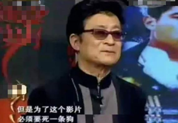 《犬王》導演姚守崗，拍戲炸死軍犬，15年後接受采訪，仍毫無悔意